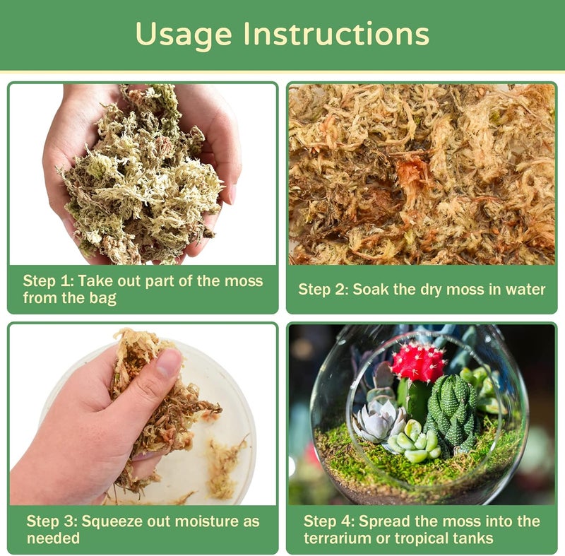 Riare 1.1LB Premium Sphagnum Moss for Reptiles- 25QT Natural Reptile Moss Dried, Forest Live Moss for Terrarium, Frogs Snake Peat Moss Bedding for Leopard Gecko Turtle Anoles Salamanders Orchid - Image 5